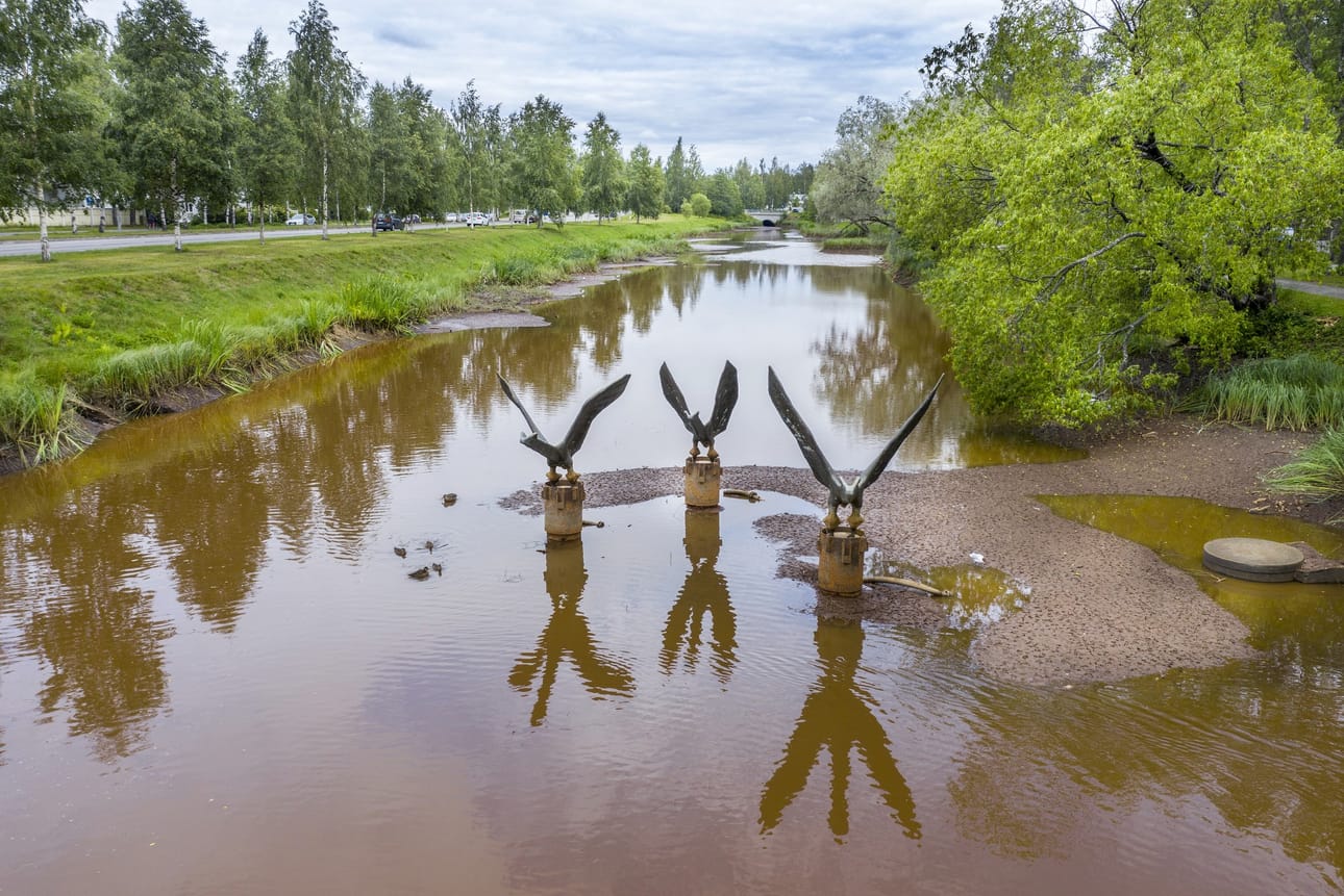Plaanaojan pohja näkyy jo. Korjaavat toimenpiteet on jo aloitettu, mutta vedenpinnassa ne näkyvät hitaasti.