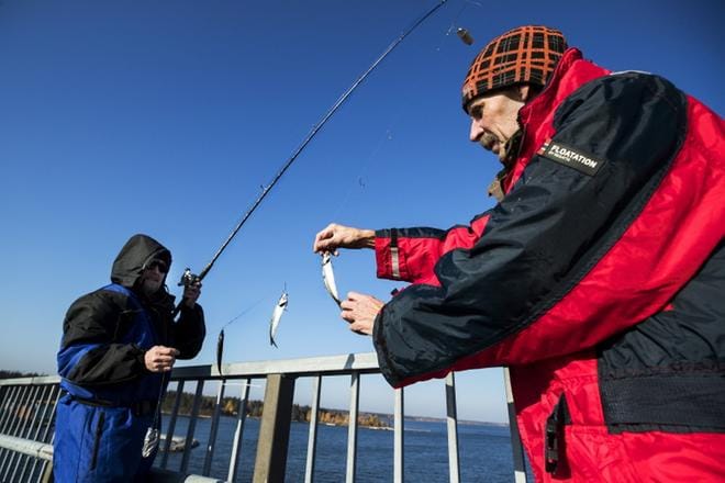 Keijo Ruuhinen ja Per Höglund ovat tuttu näky Raippaluodon sillalla. Heillä oli sunnuntaina hyvä kalaonni. KUVAT: JARNO PELLINEN
