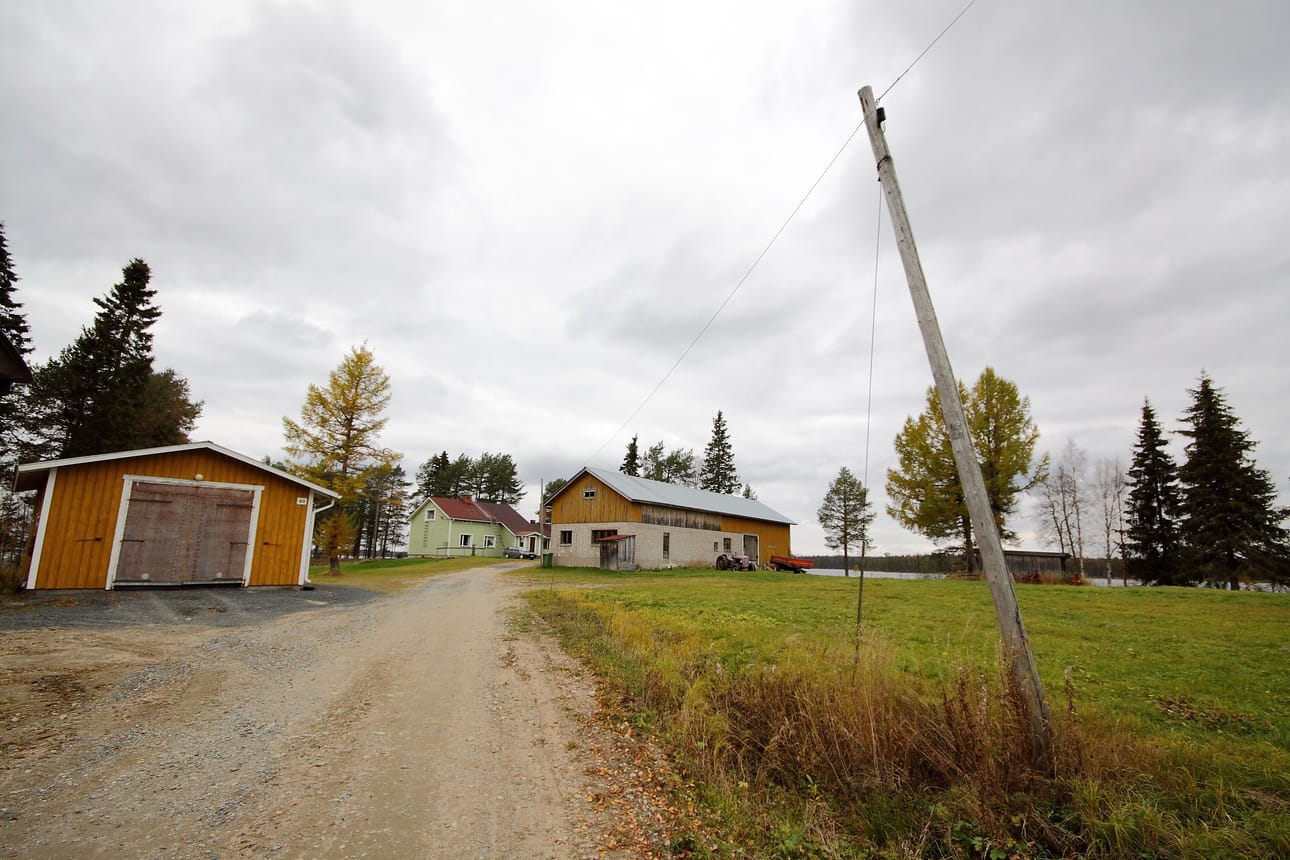 Pauli Lohilahden rantatila, jonne johtava puhelinlinja on korjauksen tarpeessa. Linjan toiseksi viimeinen pylväs on oikaisun tarpeessa, se on jo turhan kallellaan.