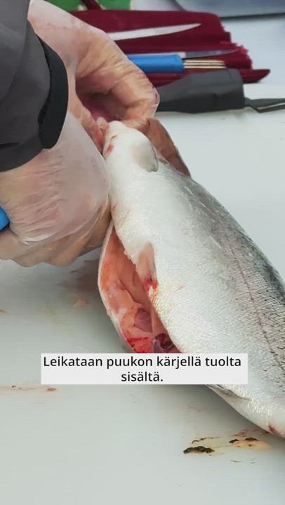 Fileointi vaatii terävän veitsen