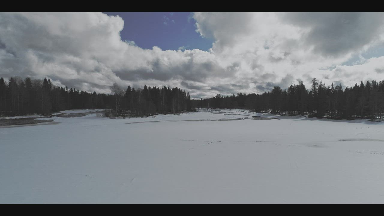 Koitelin kevättä videolla