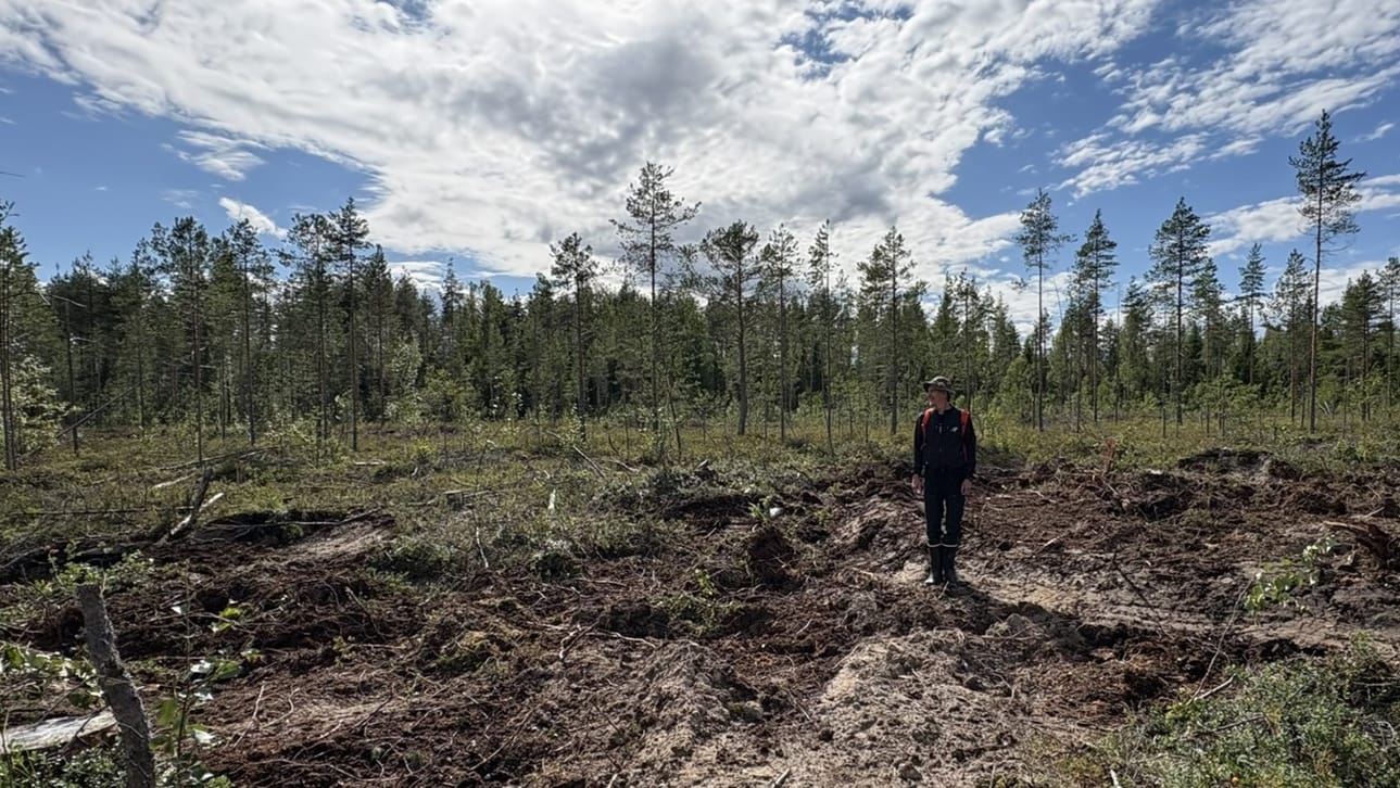Mikko Koskela hämmästelee sitä, kuinka maanomistajan vapaaehtoisesti tarjoama suuri ennallistamishanke voi kaatua tiukkaan pykälätulkintaan.