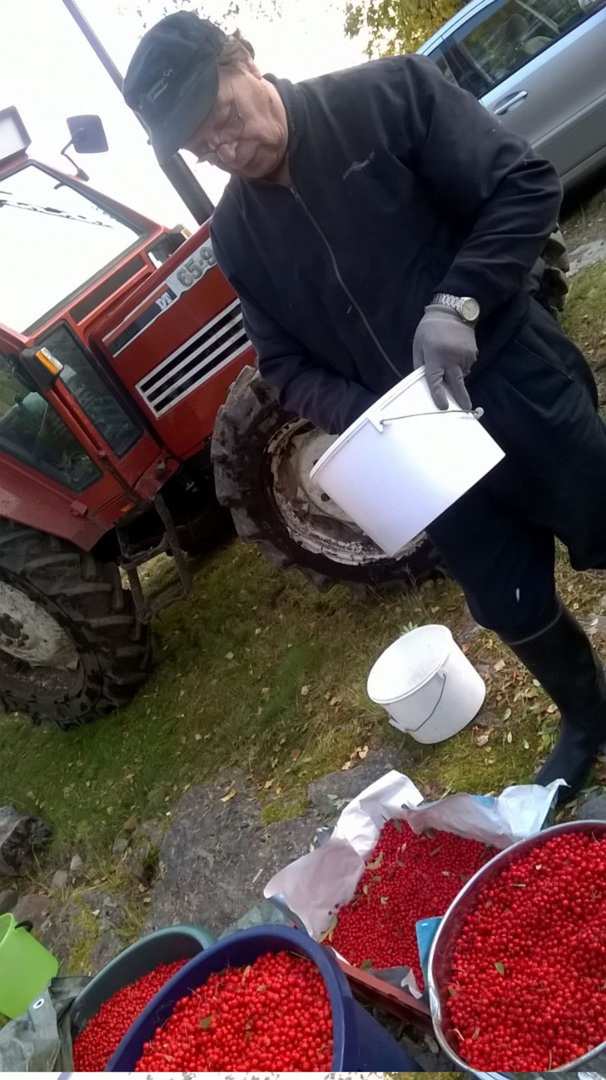 Marjojen ostolla yhdistys rahoittaa osittain toimintaa. Oulaistelainen Markku Kortet toi yhdistykselle pihlajanmarjoja, jotka yhdistys lähetti jatkojalostettavaksi. Ostosta saadut varat käytetään yhdistyksen toiminnan rahoittamiseen.