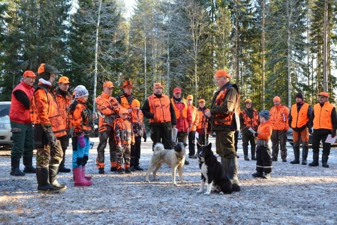 Erkki Antilan metsästyskoiravalikoimasta esittelyssä harmaa norjanhirvikoira Karpaasin Konna ja karjalankarhukoira Karpaasin Kini. KUVA: MARJUT HAAPANEN