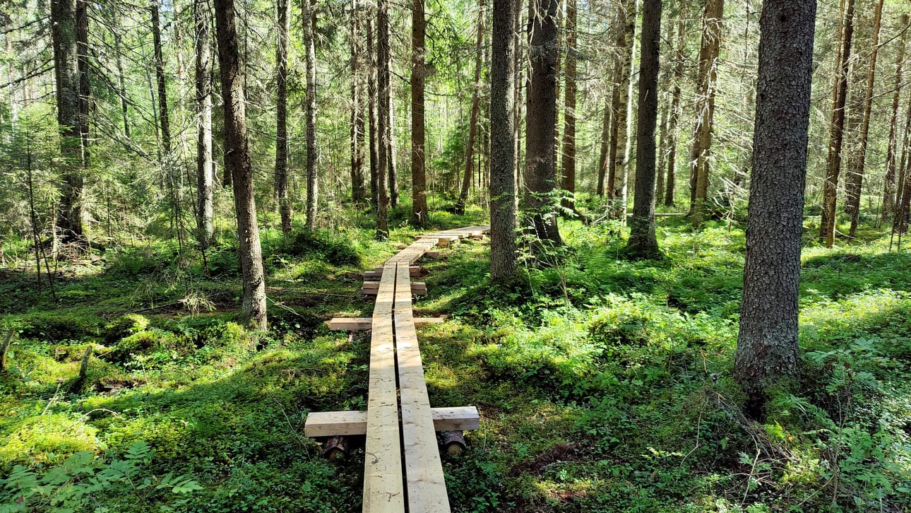 Sanginjoella Korpilammen kierroksen pitkokset on juuri uusittu.
