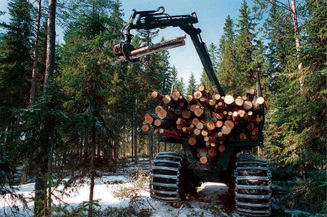 Metsiemme hoito heikkenee ja millä päästöjä sitten niellään? 