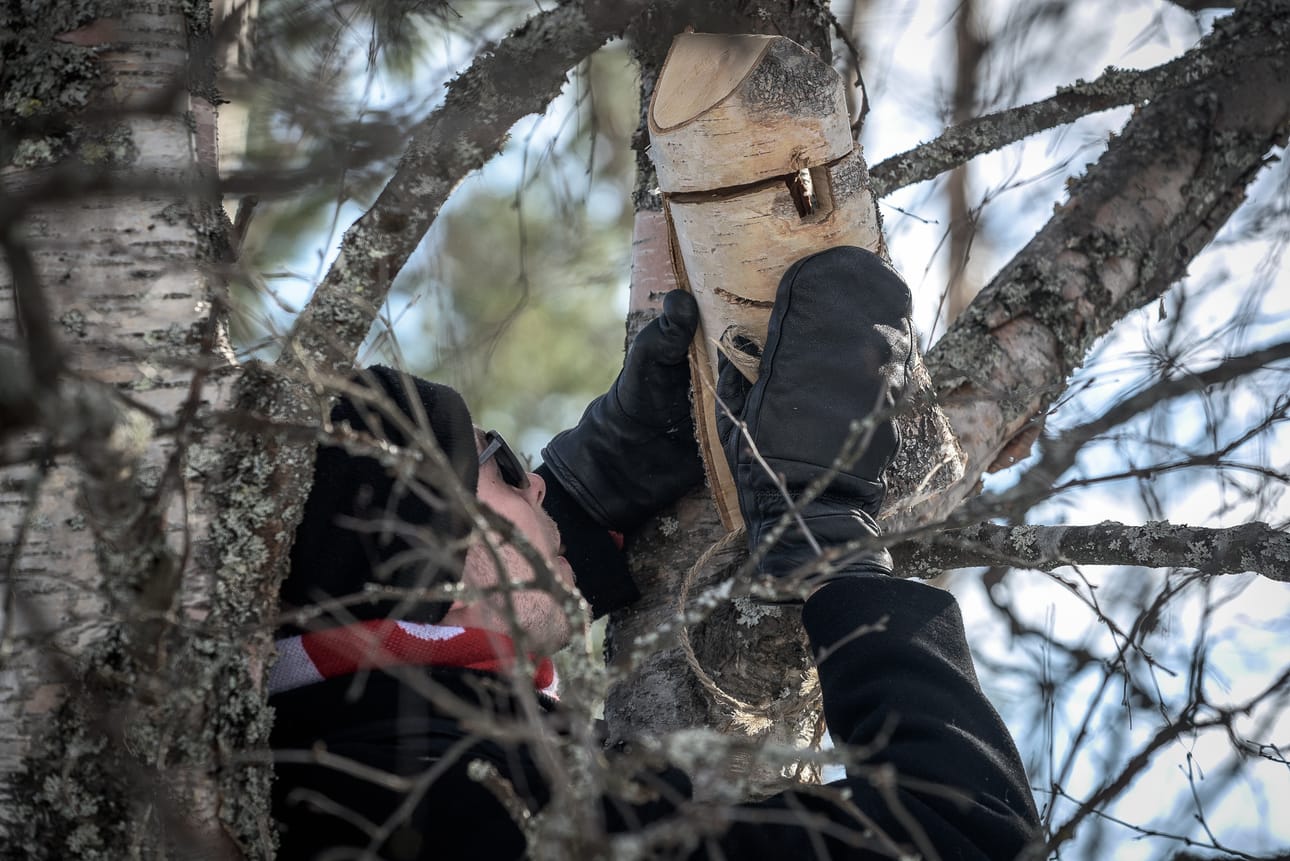 Vuokralle tarjolla kesäksi viihtyisä yksiö pienelle perheelle.