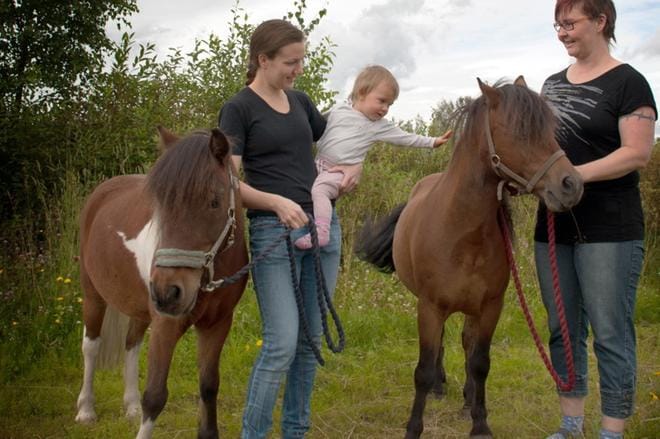 Ponit Bampula ja Chili poseerasivat tottuneesti Sirja Sorsilan, tämän tyttären sekä ratsastuksenohjaaja Pia-Marika Ojalan kanssa laitumella. KUVAT: KAROLIINA SYRJÄ
