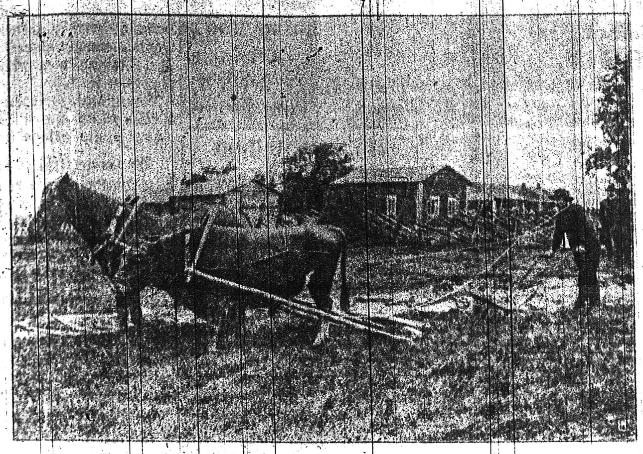 Ensimmäinen uutiskuva julkaistiin Kalevassa 24. tammikuuta 1911. Kuvassa siitossonni on valjastettu kyntötyöhön hevosen rinnalle.