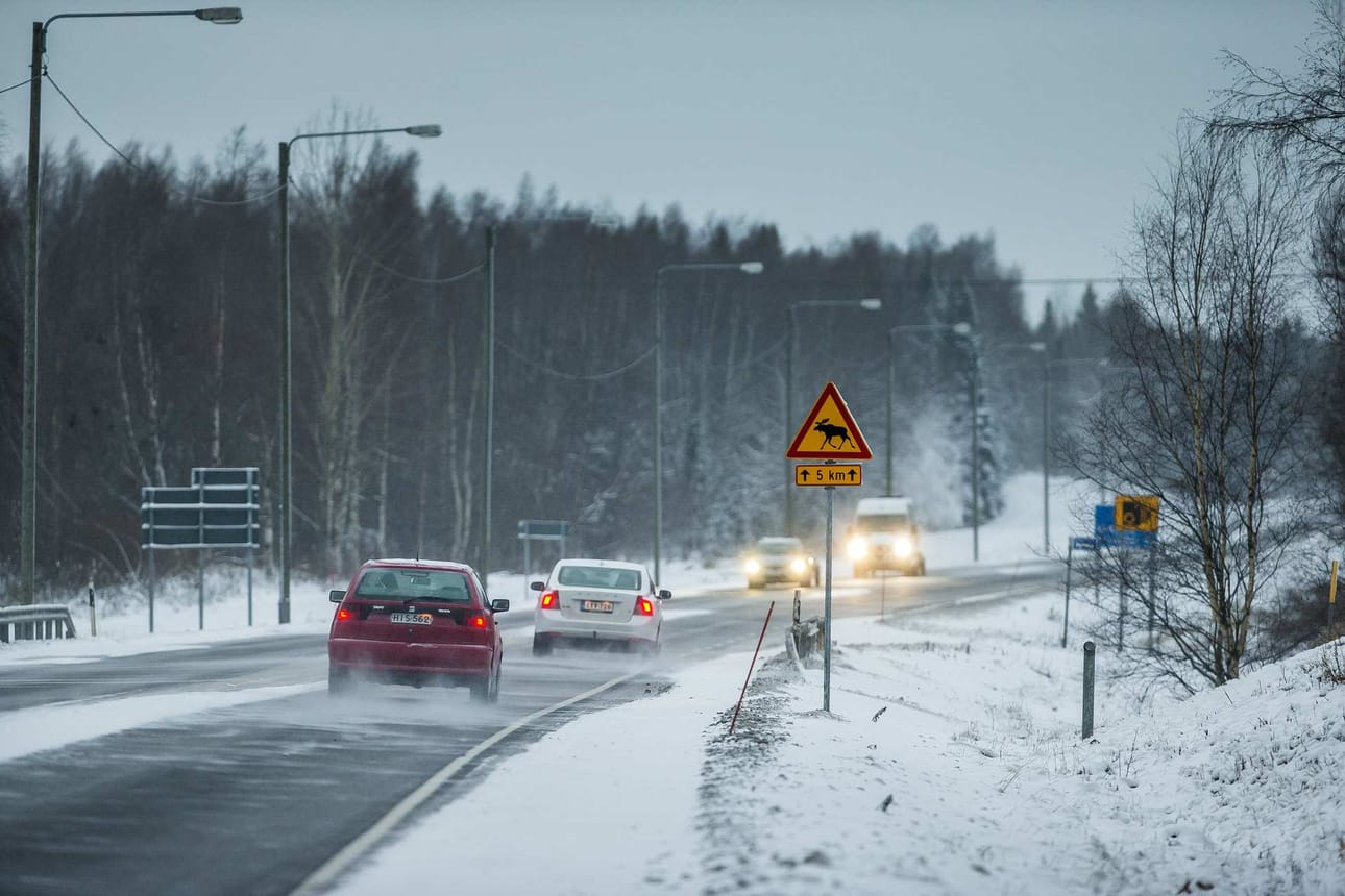 Hirvistä varoittavat liikennemerkit olivat työvoitto, jota pohjustettiin pitkään, Jahtimiesten, riistanhoitoyhdistyksen ja kyläyhdistyksen edustajat kertovat.