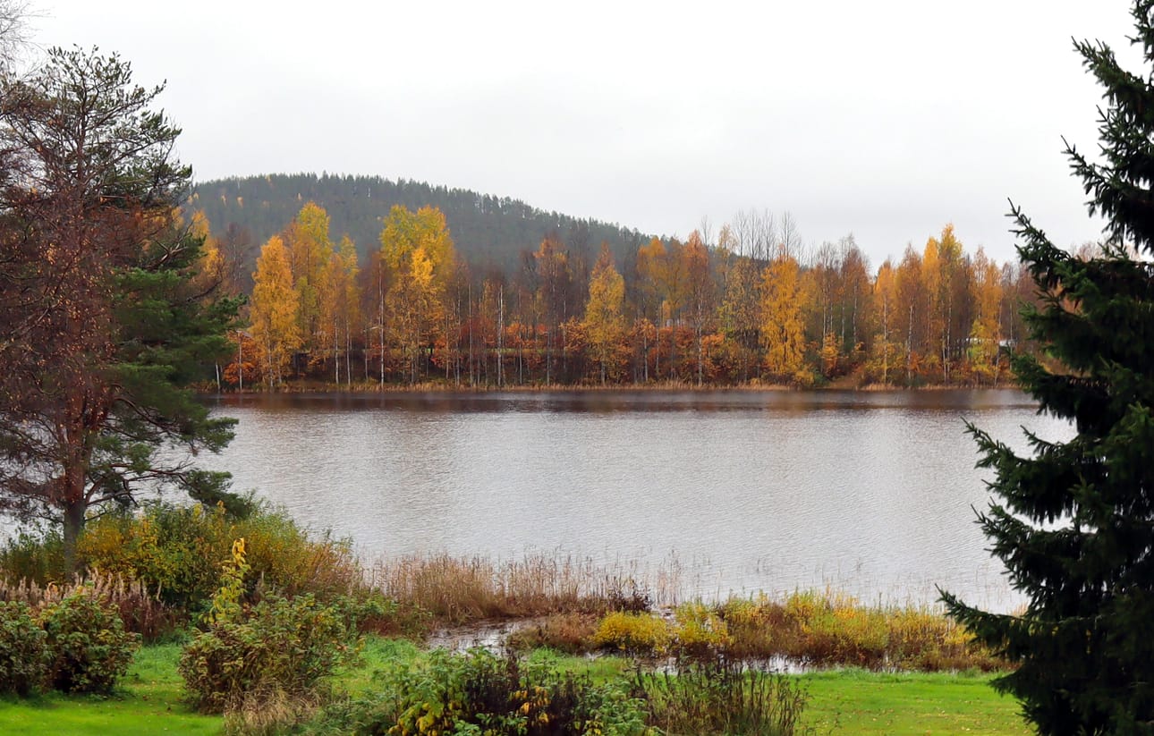 Lähetä kuva ruskasta.