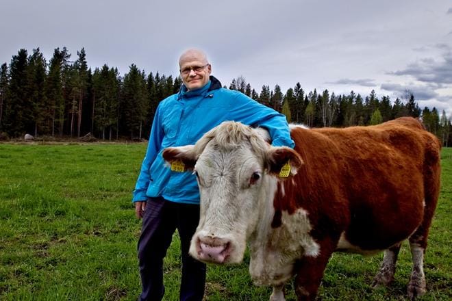 Luomuliiton puheenjohtajaksi on valittu kuortanelainen Pauli Talvitie. Arkistokuva vuodelta 2015.