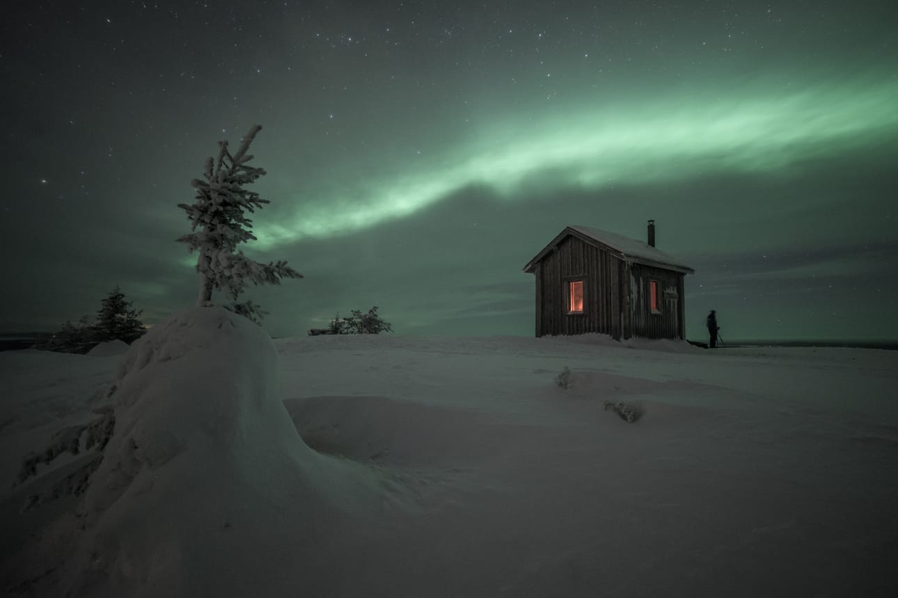 Tänä talvena ei puissa enää juuri tykkyä ole. Valtavaaralta sitä hieman löytää.