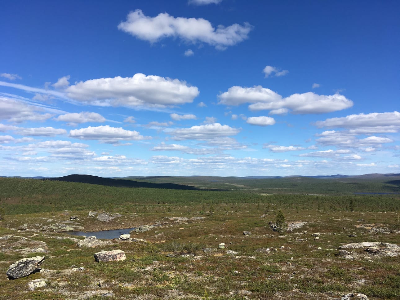Hammastunturin erämaassa Anna Koikkalainen vaelsi yksin kesällä 2022.