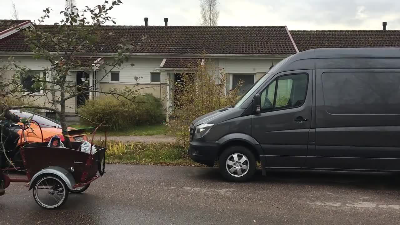 Puun kuljetusta polkupyörällä