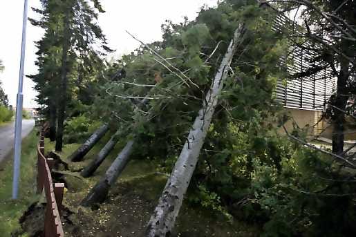 Sähköyhtiöt ahersivat hiki hatussa, kun pahimmillaan noin 30 000 taloutta odotteli sähköjensä palautumista.