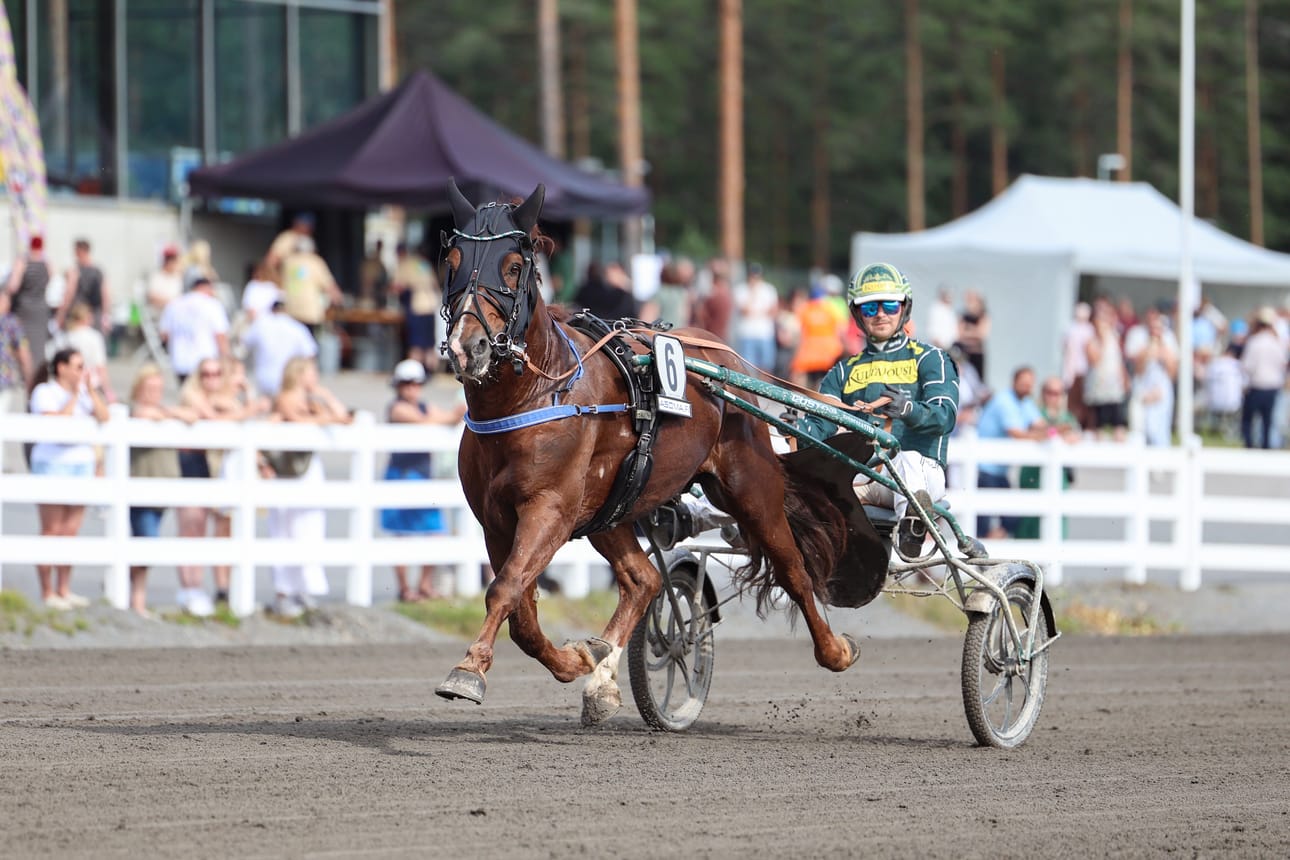 Hannu Torvisen ohjastama Pro on yksi kuninkuuskilpailun suurimmista ennakkosuosikeista.