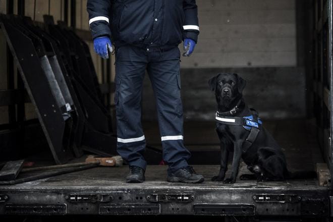 Huumekoira Leca jatkaa työskentelyään Vaasan tullissa. Leca paljasti suuren amfetamiini- ja kokaiinilastin salakuljetusyrityksen Vaasassa marraskuussa 2015. Lecan kanssa toimiva tullimies Johan Hagström kuulee yhä joskus tapauksesta. ARKISTOKUVA: JARNO PELLINEN