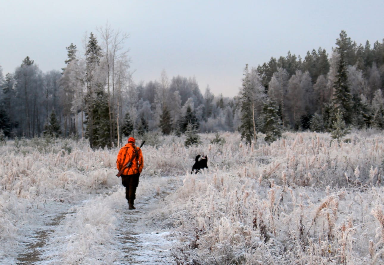 Karhunpyynti jatkuu poronhoitoalueella korkeintaan lokakuun loppuun saakka. Arkistokuva.