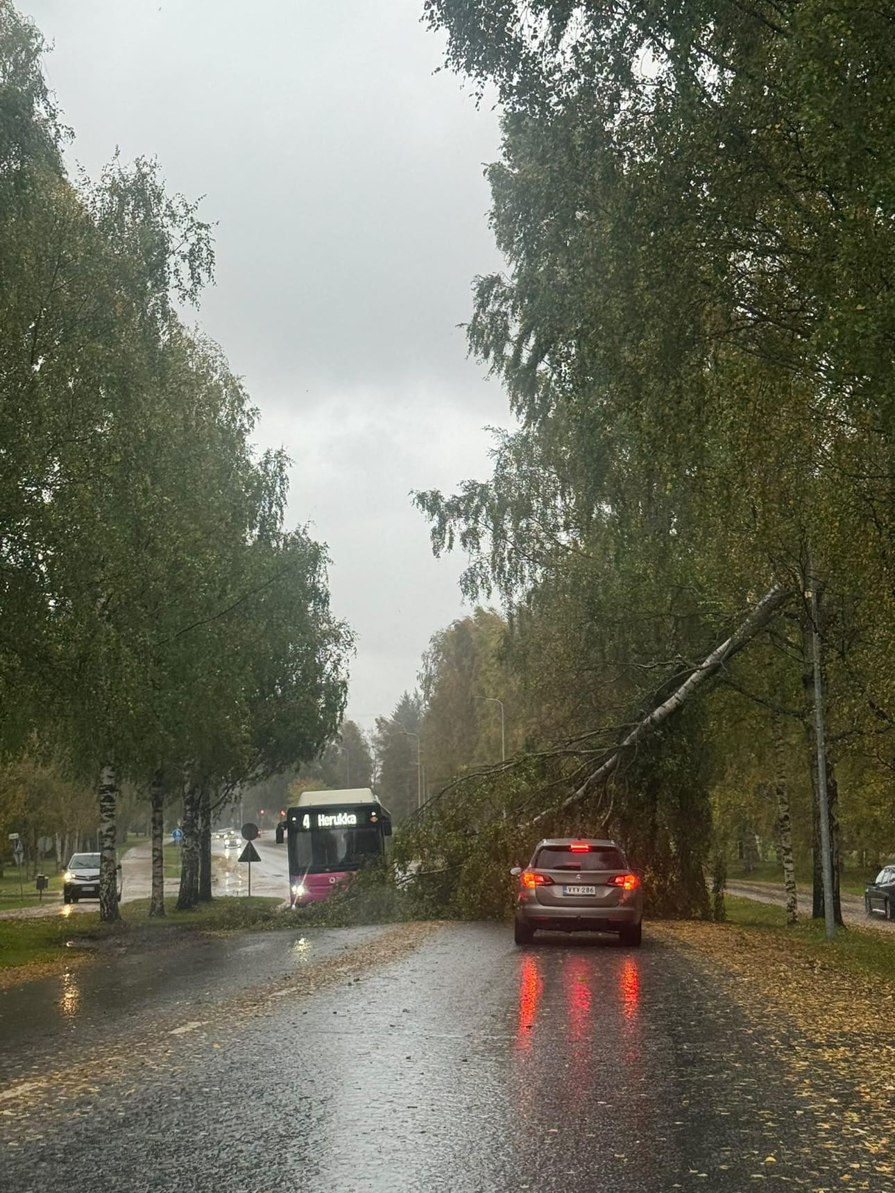 Syysmyräkkä on kaatanut ajoradoille muutamia puita sunnuntain aikana Oulun seudulla. Lisäksi muutama vene on päässyt karkuteille.