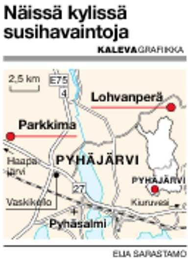 Tarkkaan kaluttu. Susilauma tappoi naarashirven aivan Eero Aholan kodin kulmilla. Lohvanperäläinen hinasi haaskan traktorilla korpeen turvallisuussyistä.