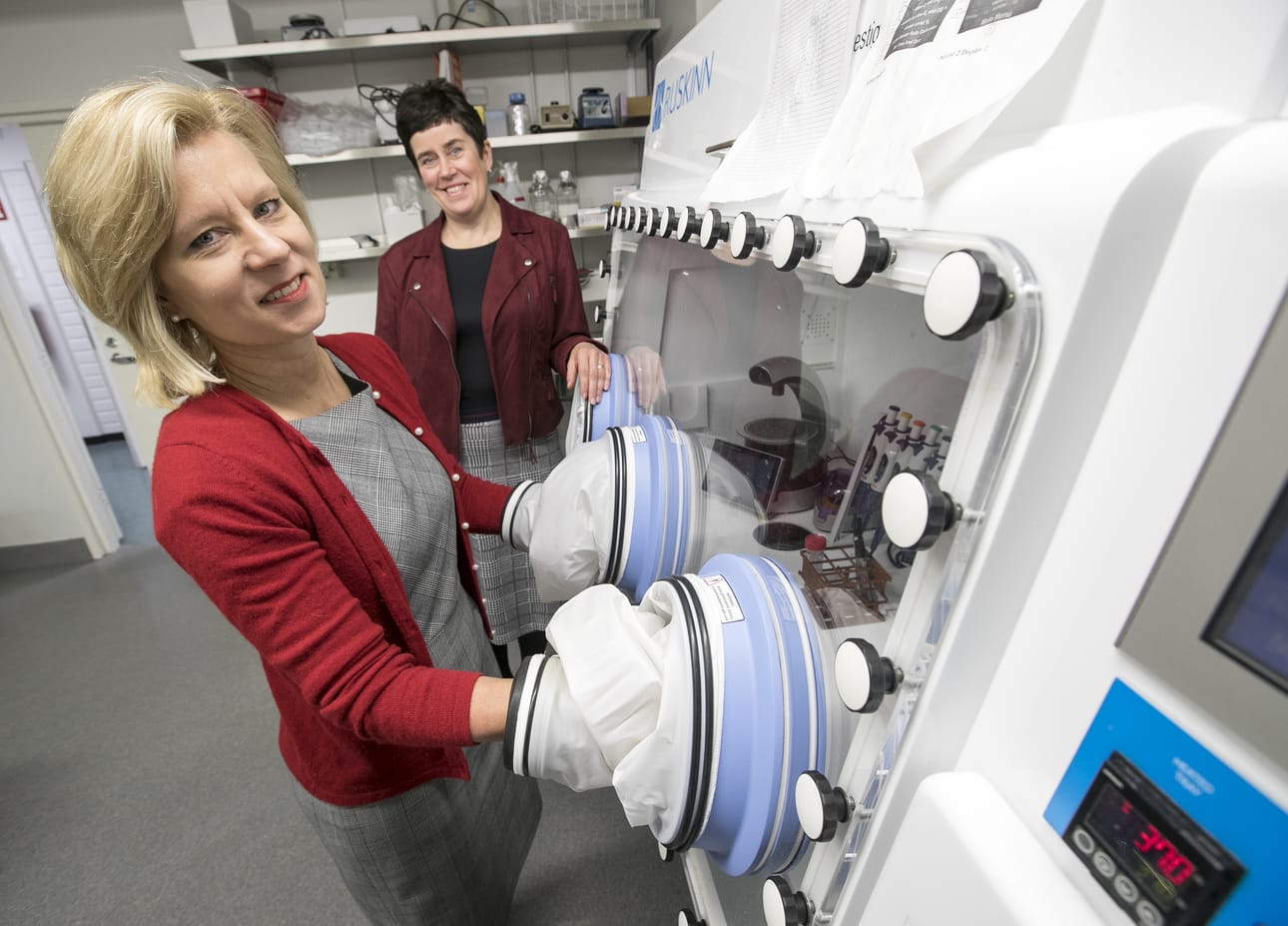 "Kun on hapenpuute, tietyt geenit aktivoituvat", kertovat professorit Johanna Myllyharju (oik.) ja Peppi Karppinen.