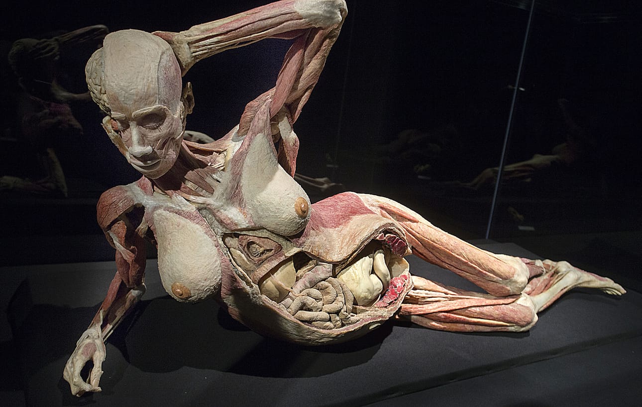 Oikeiden ruumiiden esittely on herättänyt suuria tunteita ensimmäisestä näyttelystä lähtien.