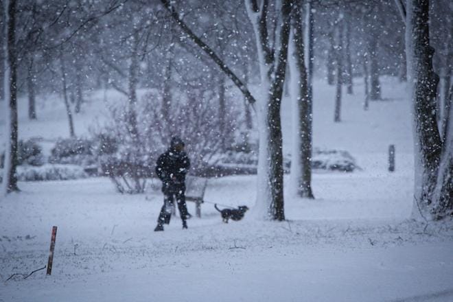 Vaasassakin saadaan ainakin hetki nauttia valkoisesta maasta. Kuva: Paula Kaskimaa