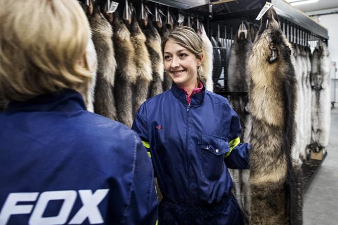 Himangalle avattiin marraskuussa turkisnahkojen esikäsittelylaitos. Viktoria Bondarchuk on yksi laitoksen 25 työntekijästä. KUVA: Clas-Olav Slotte
