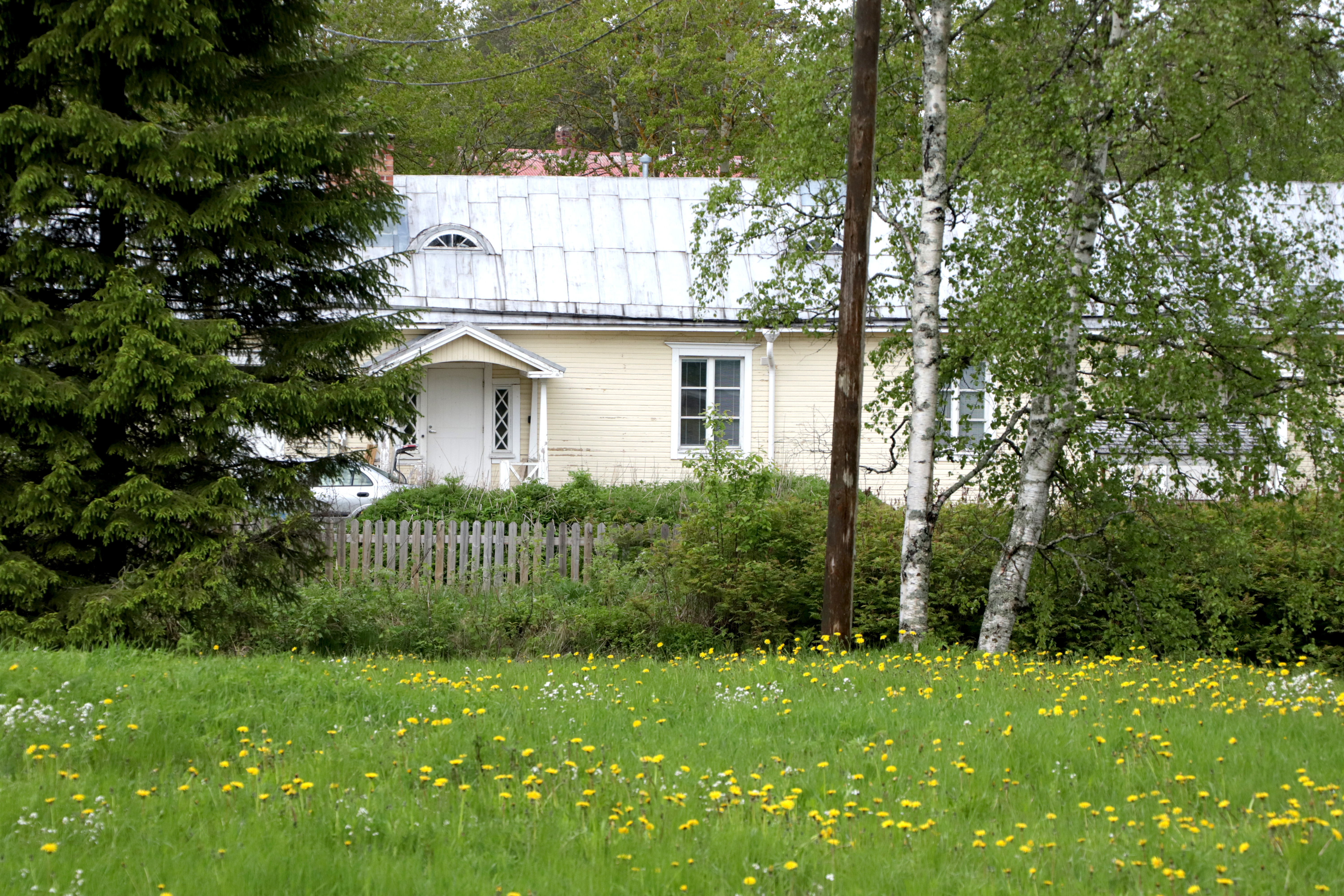 Viehättävä Kreivinsaari olisi Paakkarin mukaan myös hyvä paikka 4H-kesäkahvilalle. Arkistokuva