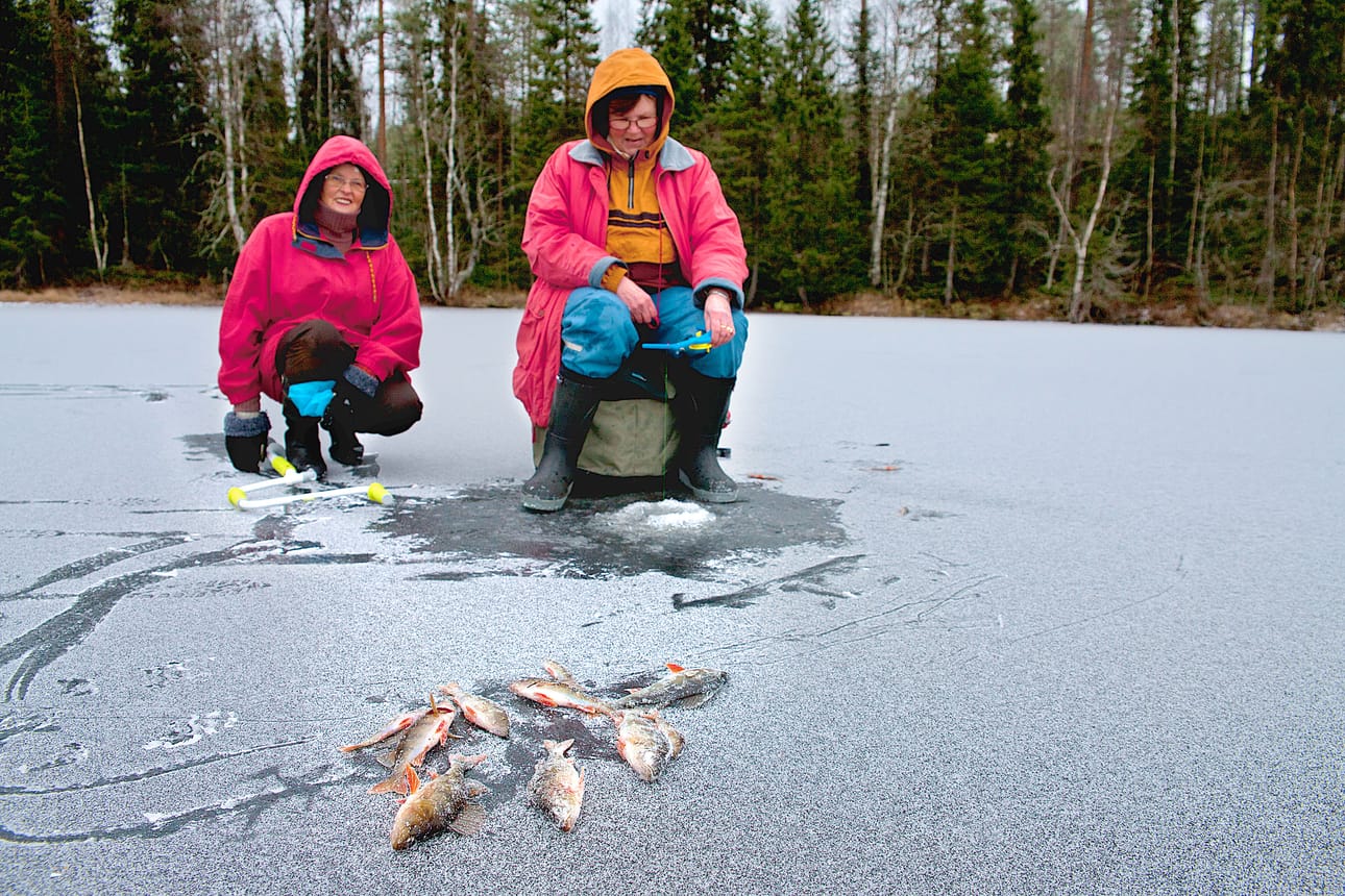 Helli Lantto (vas.) ja Sirkka Lahtinen jallittivat marraskuun 18. päivänä näppäriä raitapaitoja. – Ahven syö ensijäillä paremmin tämmöisellä pilvipoutaisella kelillä, tuumailivat tyytyväiset vapaa-ajankalastajat.