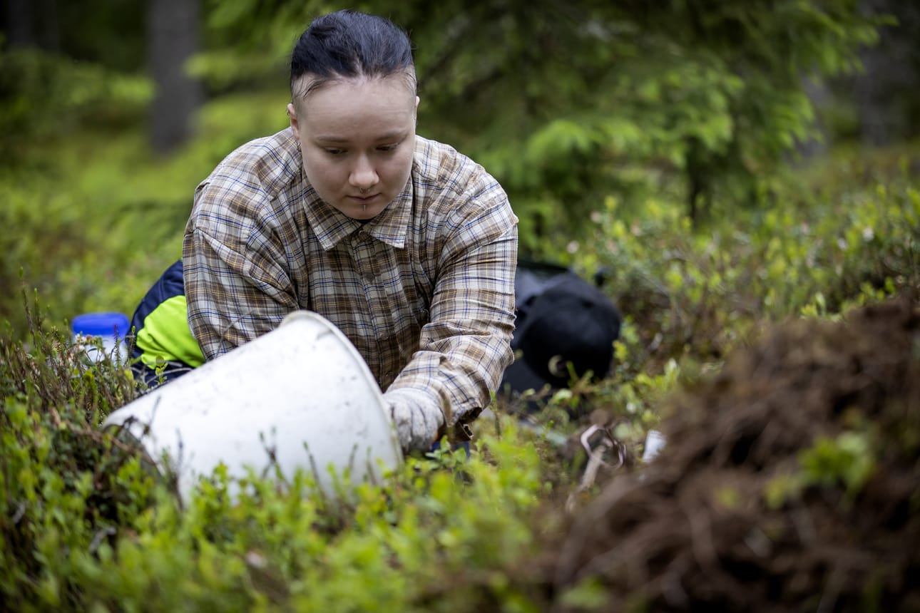 Aster Niemelä teki koekuoppia Tervakankaan kalmistossa viime kesäkuussa. Kalmisto oli yksi hänen maisterintutkielmansa kohteista.
