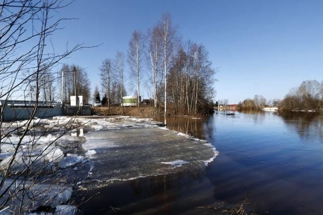 Pitkämön altaan täyttäminen leikkasi tulvauhkaa Kyrönjoella Ilmajoen Nikkolassa. Torstaina aamupäivällä vesi virtasi uomassaan Röyskölän tulvaluukkujen luona. KUVA: JOUKO HÄNNINEN