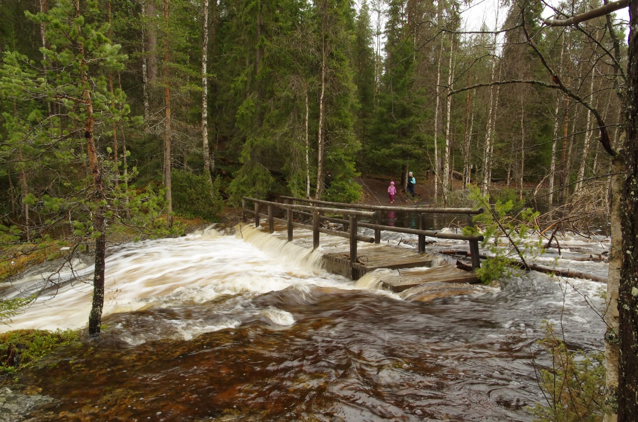 Keväällä 2015 vesi virtasi Kiutakönkäällä kävelysillan yli.