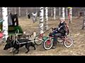 Koiravaljakko 2 400 kilometrin ajelulla