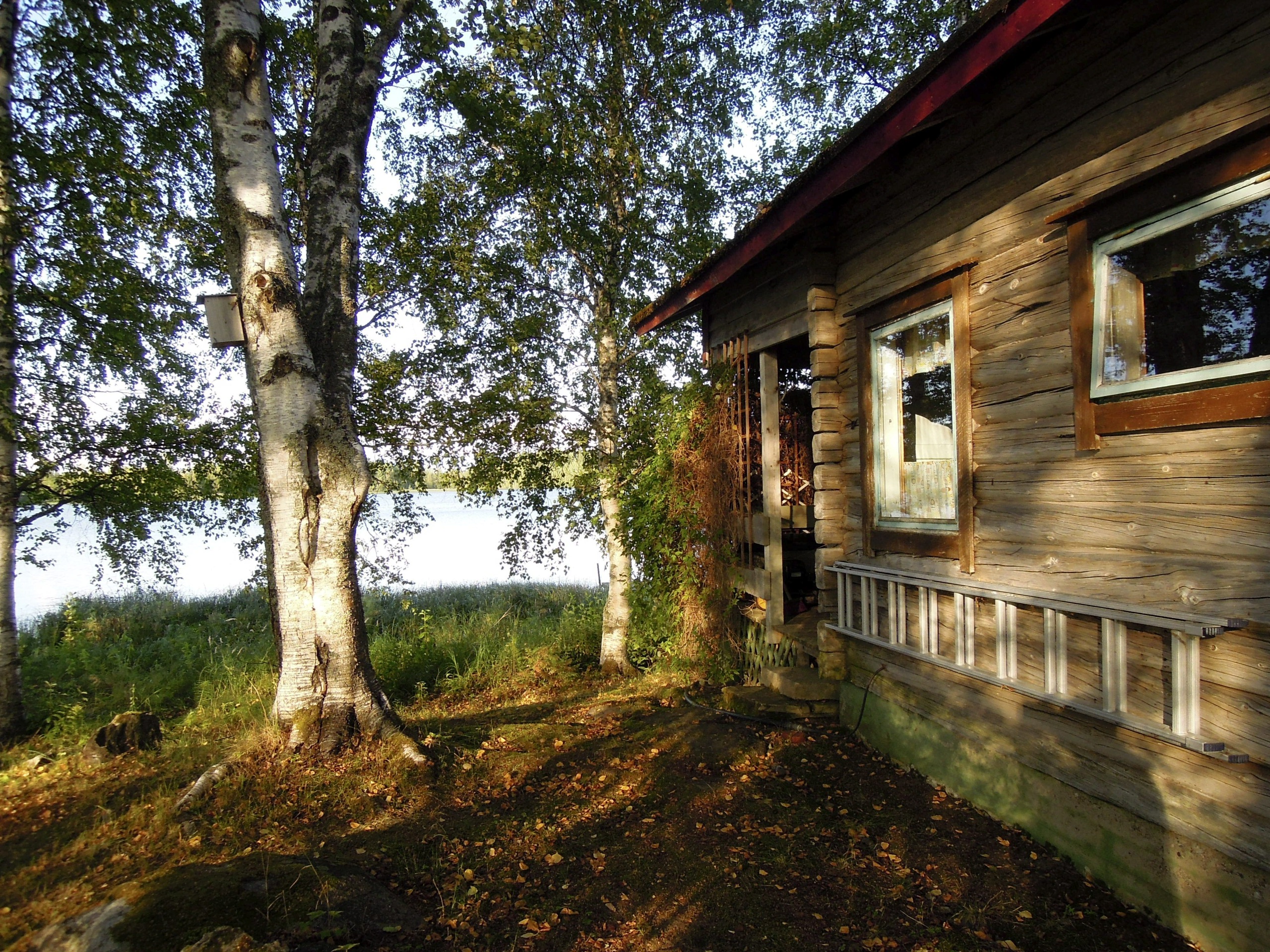 Rantasaunojen rakentaminen on vilkastunut – kuntien vastaiskuun ei näkyvissä oikeuden linjausta