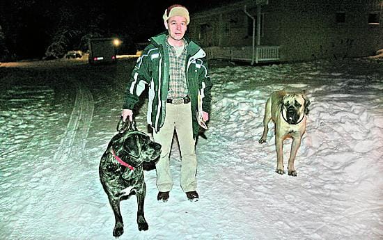 Kaipaamaan jäivät. Siipirikolle joutsenelle ehti tulla ystäviä pitkin jokivartta. Seppo Ruonala mastiffikoiriensa kanssa tutustui joutseneen marraskuussa parin viikon ajan Joltinkylällä.