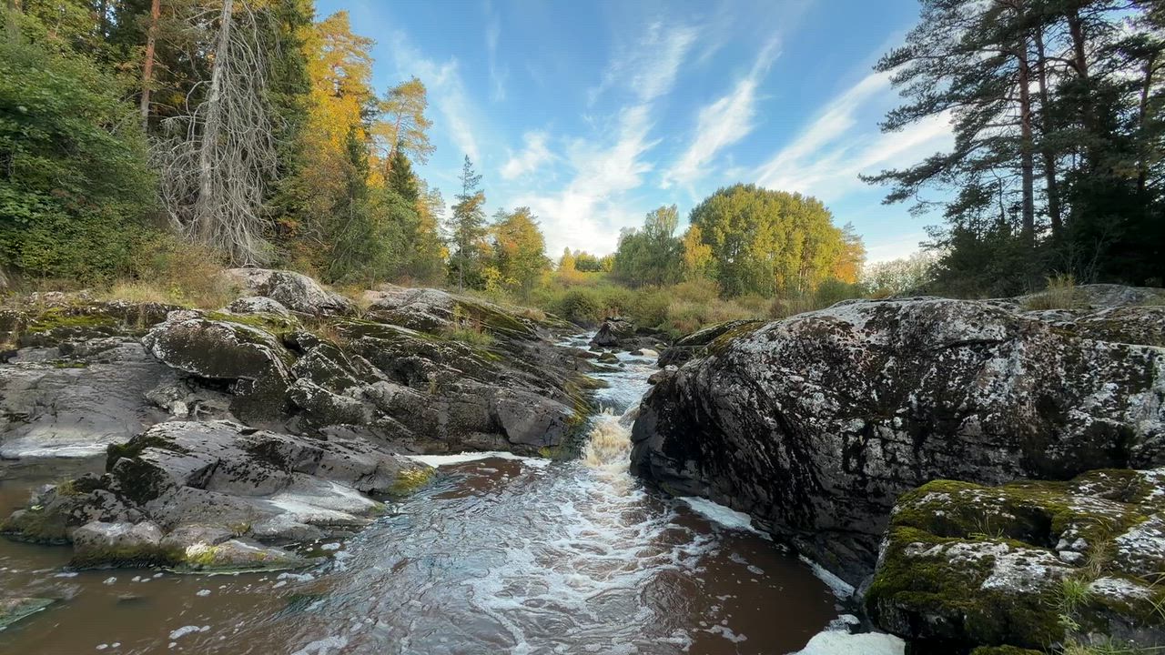 Nautelankoski 7.9.2026 aamulla. Lieto