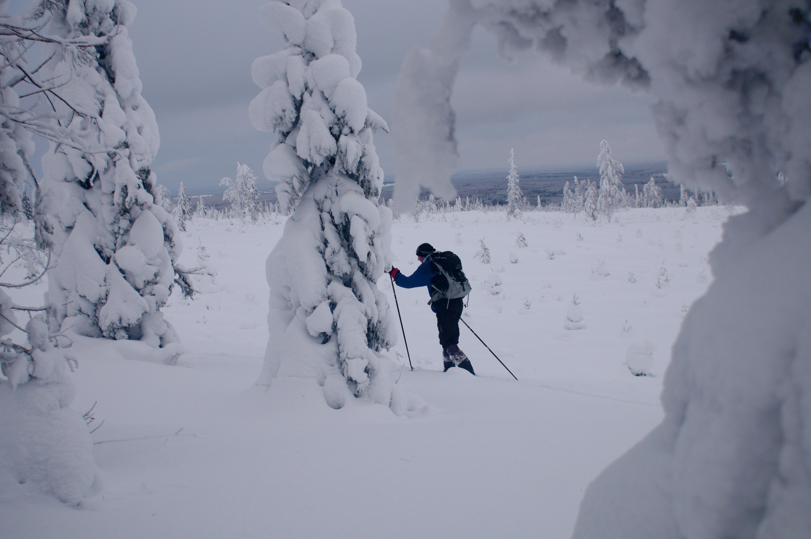 Sarakylän Jukuanvaarassa riittää lunta hiihdellä. Uudenvuodenpäivänä sitä mittailtiin olevan noin 80 senttimetriä.