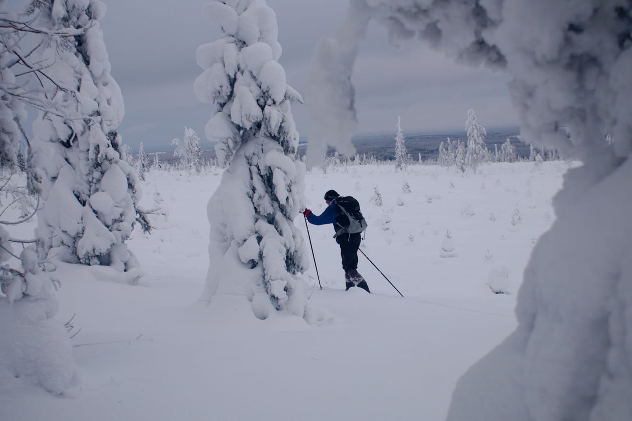 Sarakylän Jukuanvaarassa riittää lunta hiihdellä. Uudenvuodenpäivänä sitä mittailtiin olevan noin 80 senttimetriä.
