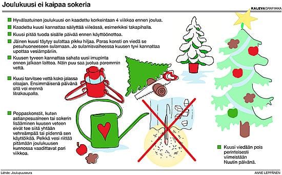 Taatusti kotimainen. Susanna Luukinen teki kuusikauppaa Oulun Raksilan markettien edessä. Joulupuuseuran Suomi-lippu kuusessa kertoo, että puu on kasvatettu Suomessa.
