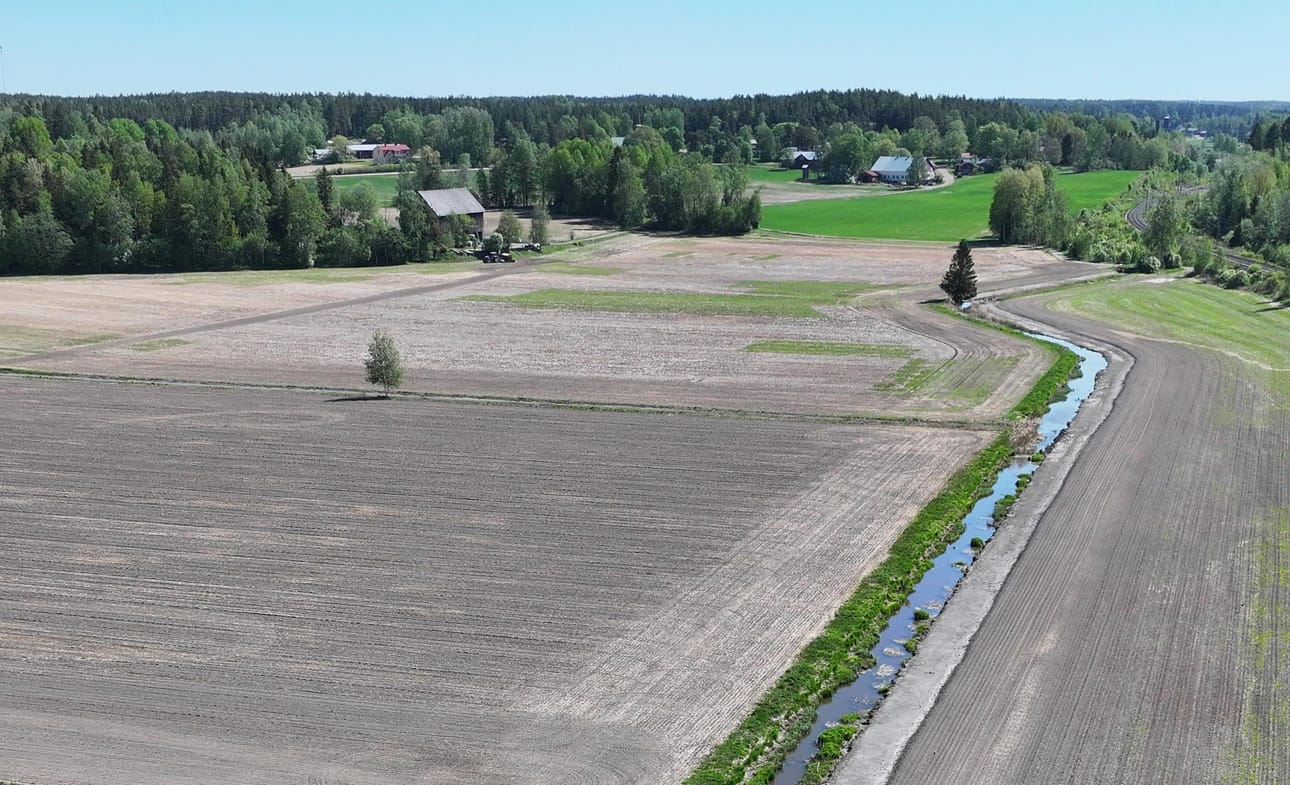 Kevät on ollut jo useina vuosina kuiva. LEHTIKUVA / Vesa Moilanen
