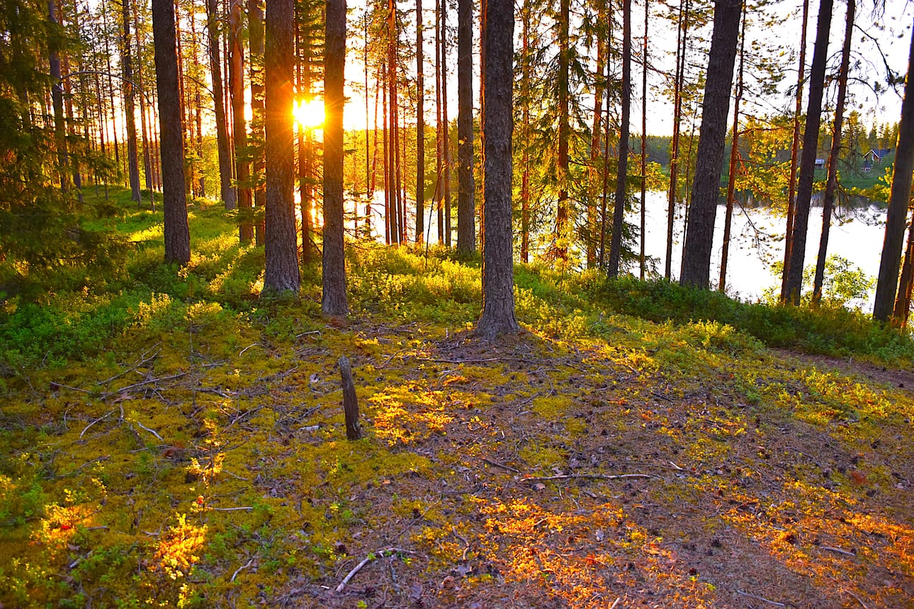 Hallinto-oikeuden näkemyksen mukaan maanomistajien yhdenvertaisen kohtelun vaatimuksen täyttymisestä hyväksytyssä kaavassa "ei voida riittävällä tavalla varmistua". Kuva on ilta-auringossa kylpevästä Tatankijärvestä.