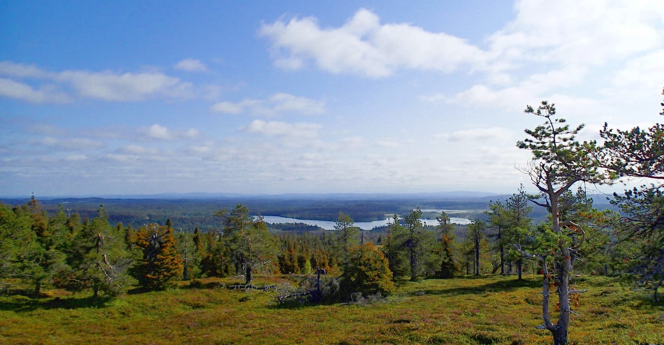 Tunturiajot käydään komeissa maisemissa.