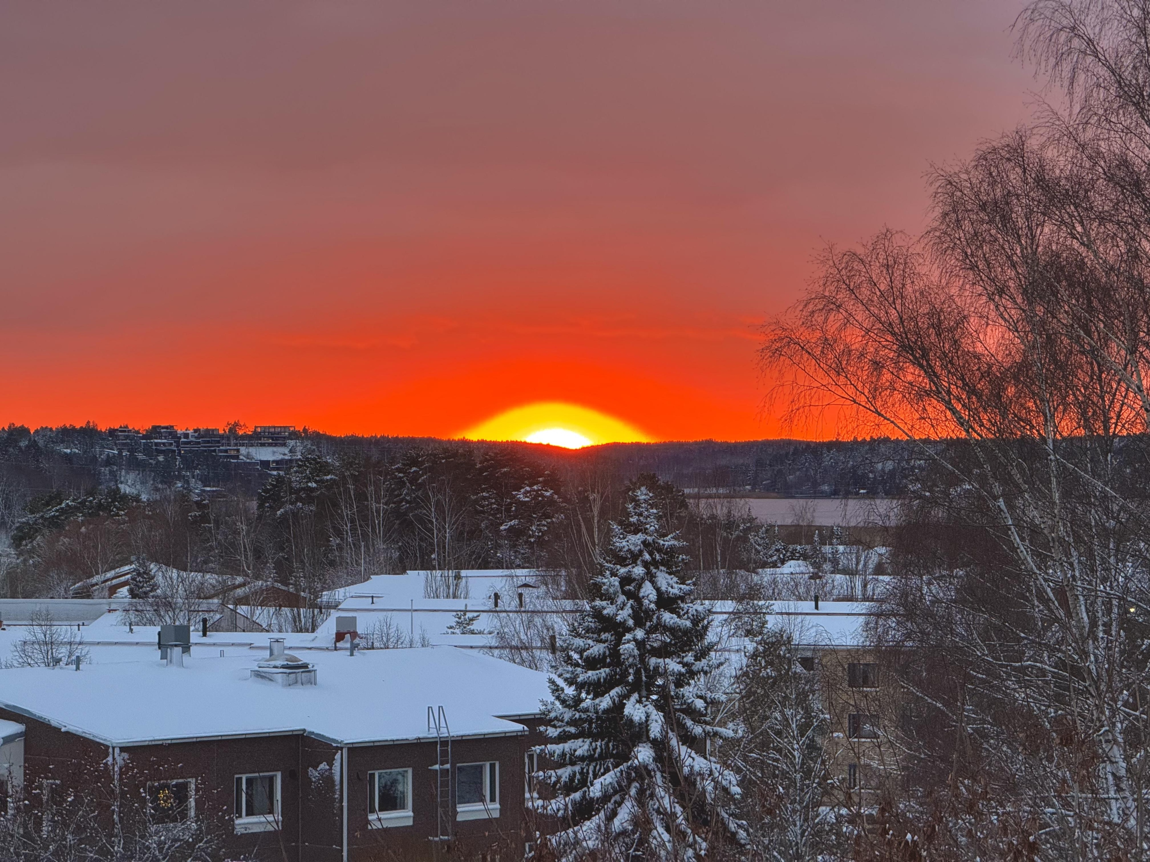 Tammikuun 2025 lukijakuvat