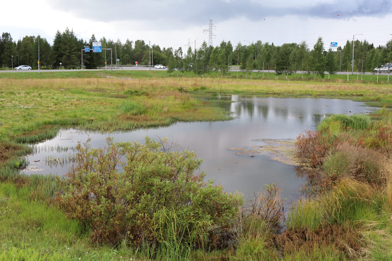 Kukuramaahan jo muodostunut lammikko toimii alueelta kertyvien hulevesien tasausaltaana. Taustalla on viitostien ja Kaarlo Hännisen tien risteys.