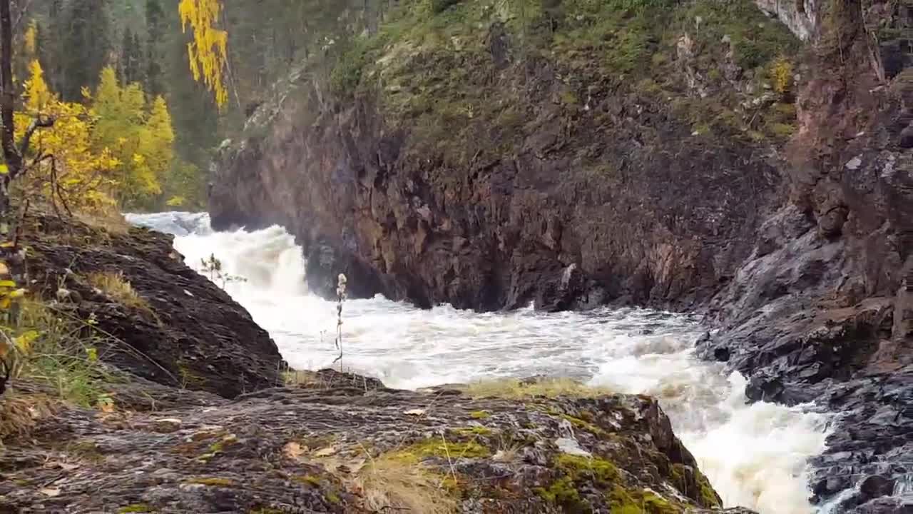 Kiutaköngäs kuohuu lukijavideossa