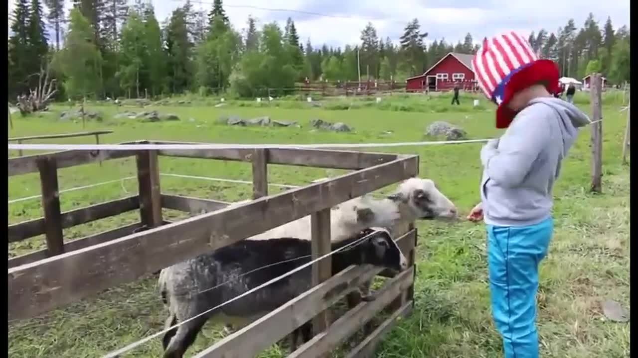 Mikä on moniottelu?