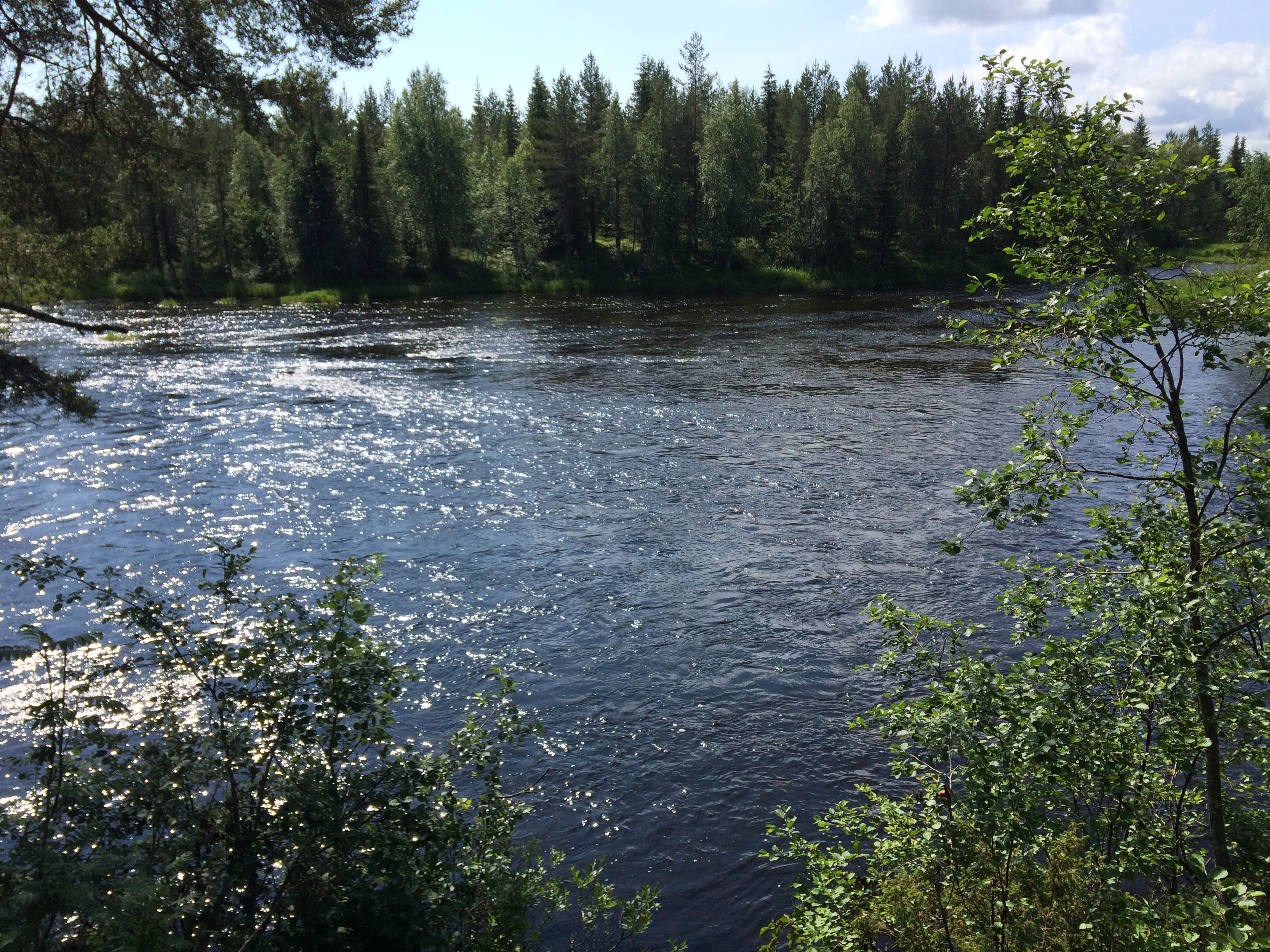 Saunakari on osa Iijoen koskikalastusaluetta.