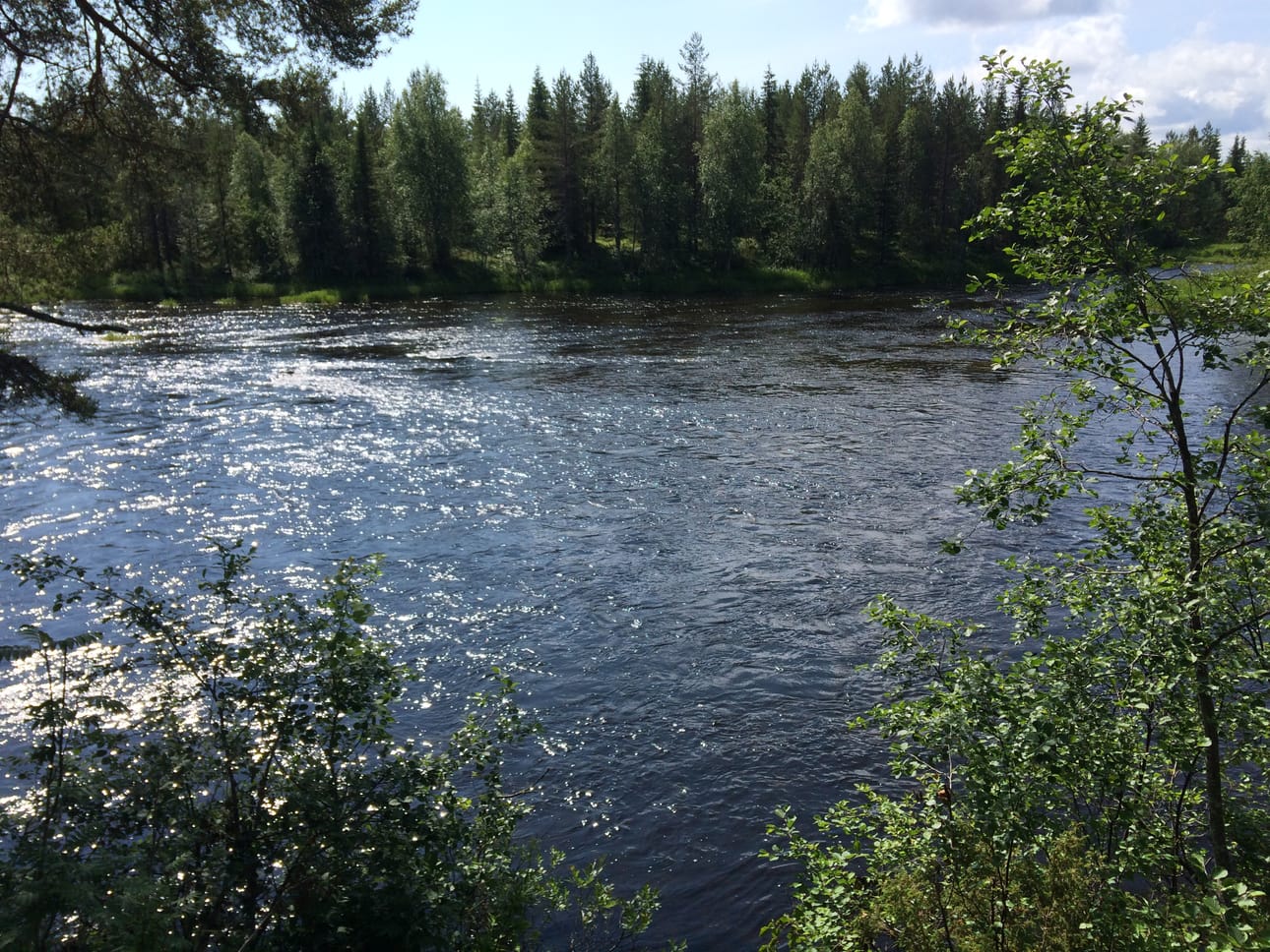 Saunakari on osa Iijoen koskikalastusaluetta.